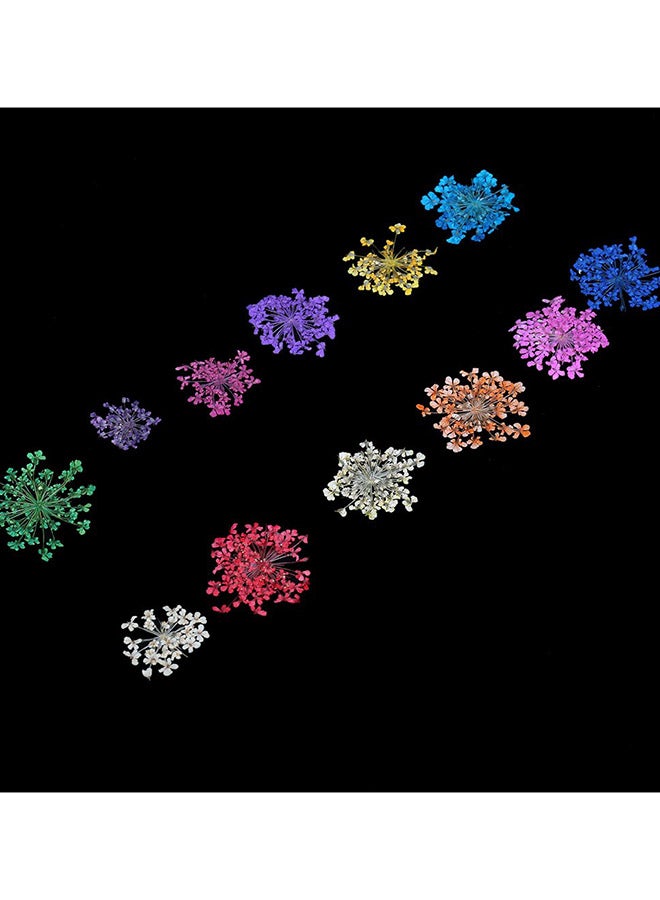 طقم أزهار مجففة لفن تزيين الأظافر بـ 12 لون أزرق/ ذهبي/ أحمر - Image 2