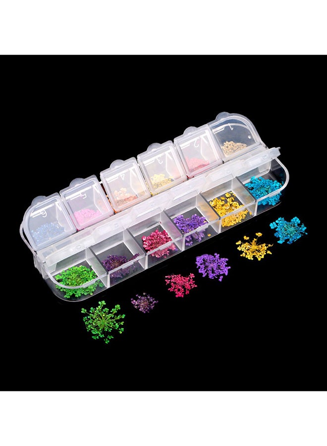 12 لوناً من الألوان المجففة للأظافر الحقيقية متعدد الألوان - Image 2