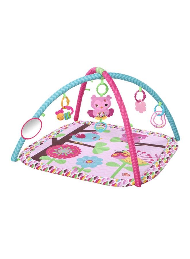 Bright Starts Charming Chirps Activity Gym 76.2x76.2x45.72cm - Image 1