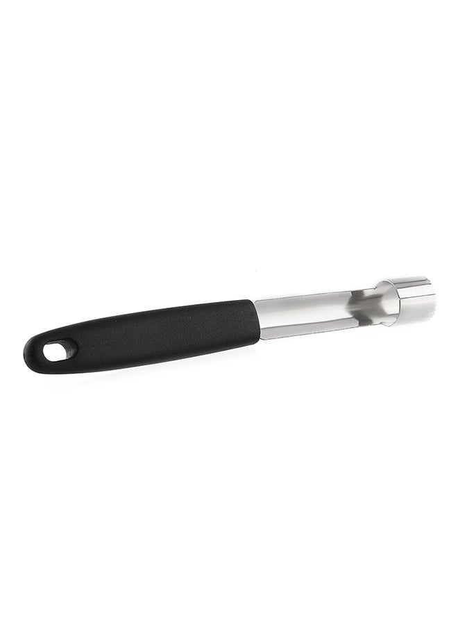 CYTHERIA Stainless Steel Twist Fruit Core Seed Remover Black 18cm  - Image 1
