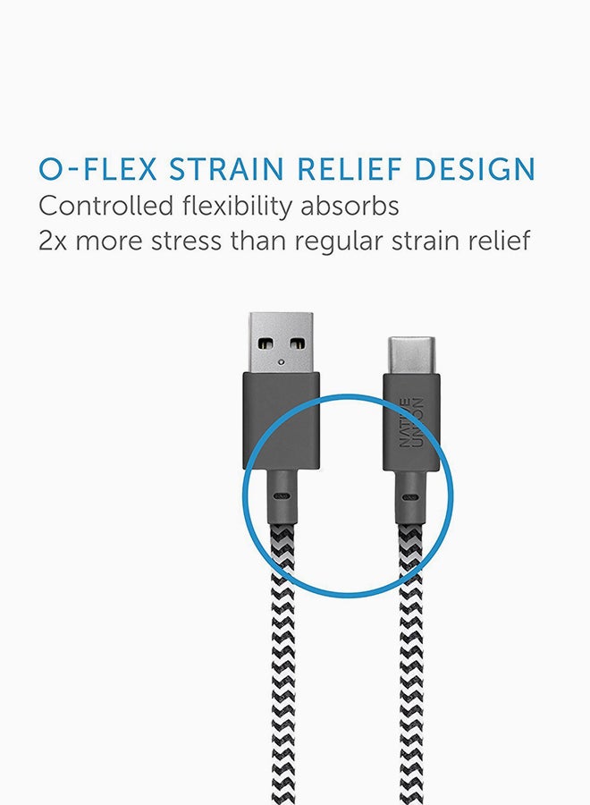Native Union Belt USB To Type-C Cable Zebra - Image 2