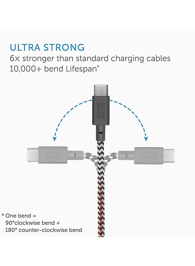 Native Union Belt USB To Type-C Cable Zebra - Image 3
