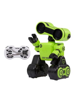 RC Smart Robo Toy R13