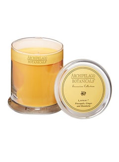 Archipelago Botanicals Archipelago Lanai Glass Jar Candle  - Image 1