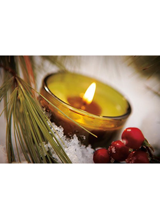 Thymes Frasier Fir Pine Needle Green Glass Jar Candle, 50 Hour Burn Time 6.5 Ounces - Image 2