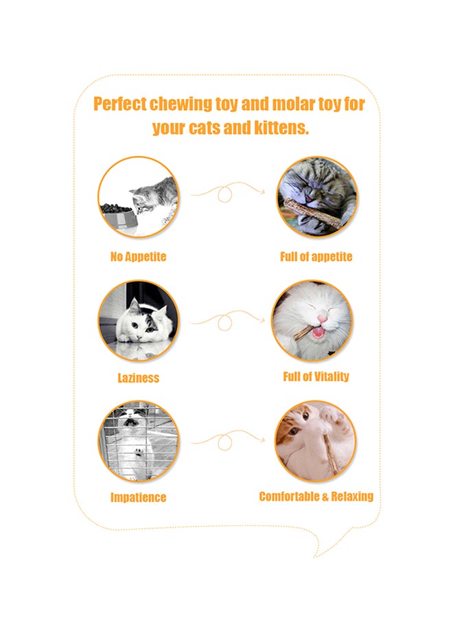 2-Piece Cat Stick Chew Toy Dental Cleaning Teeth Wood Stick Brown - Image 2