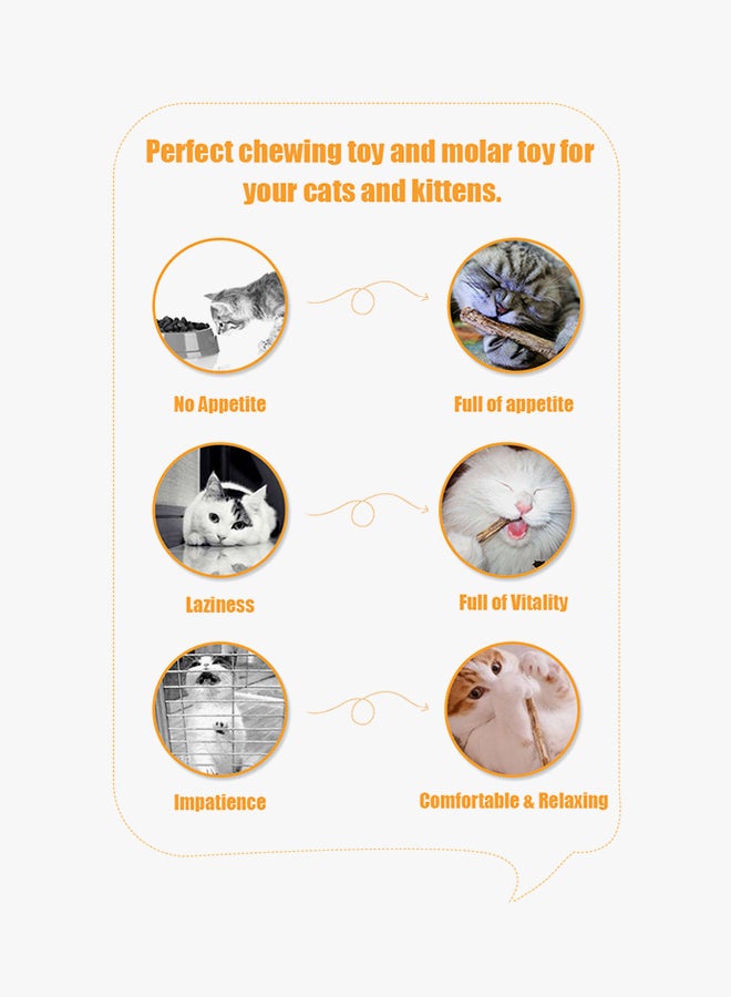 10-Piece Cat Stick Chew Toy Dental Cleaning Teeth Wood Stick Brown - Image 3