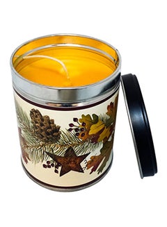Our Own Candle Company Harvest Festival Scented Candle Orange 4.5X3.5X3.5inch 