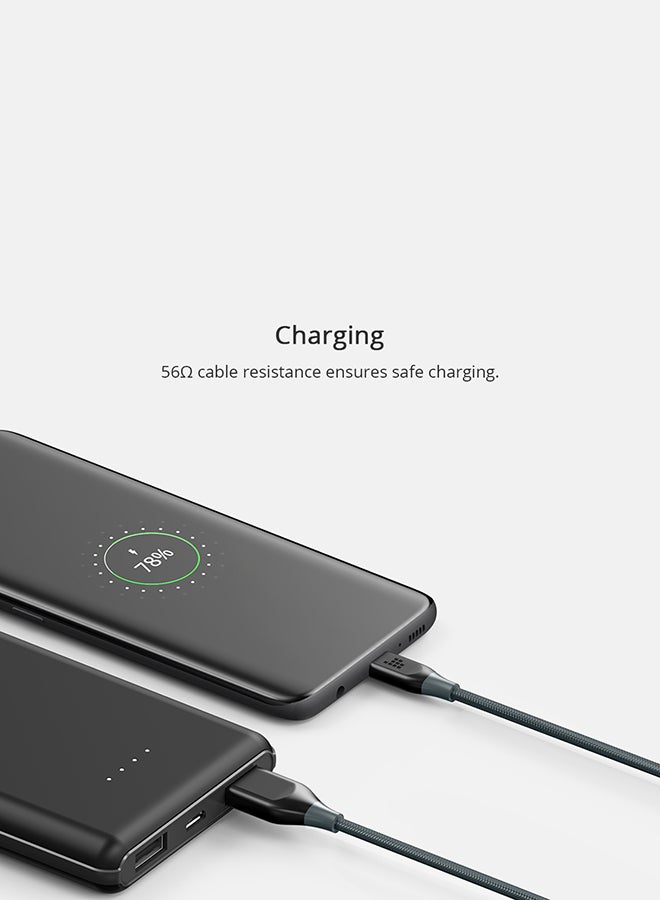 ترونسمارت كابل Type-C USB مضفر من النايلون رمادي  - Image 4