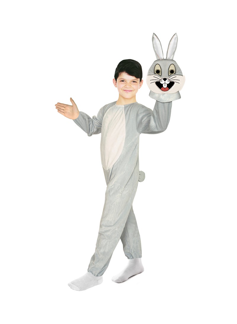 Oulabi Mir Rabbit Costume  - Image 1
