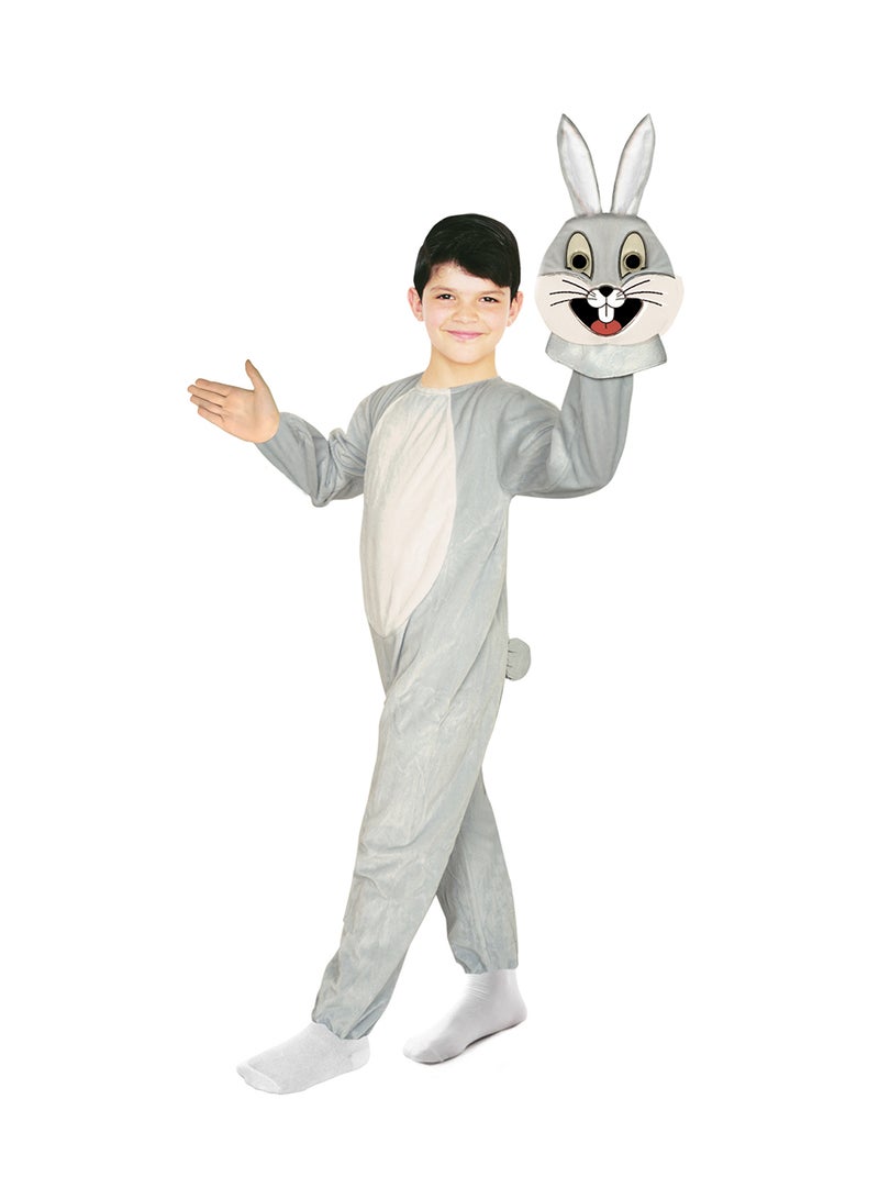 Rabbit Costume - v1549443204/N20692562A_1