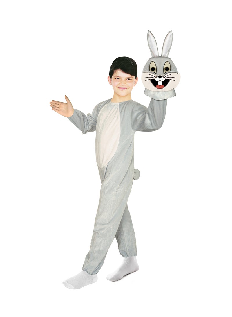 Oulabi Mir Rabbit Costume  - Image 4
