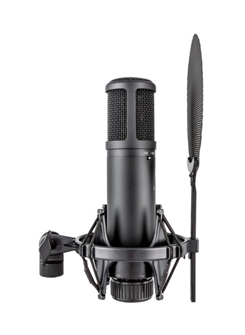 SE Electronics sE2200 - Studio Condenser Cardioid Microphone with Isolation Pack SEE-SE2200 Black - Image 2