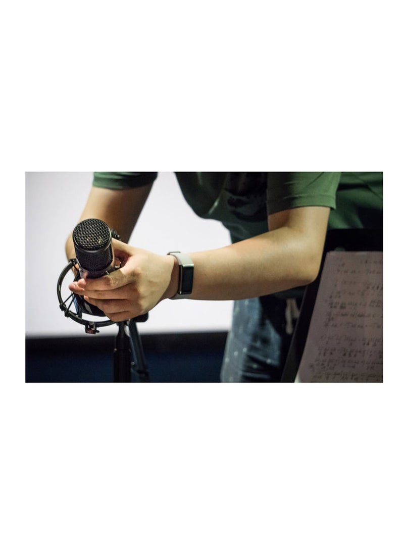 SE Electronics - sE2300 - Studio Condenser Microphone with Switchable Polar Patterns and Isolation Pack SE2300 Black - Image 1