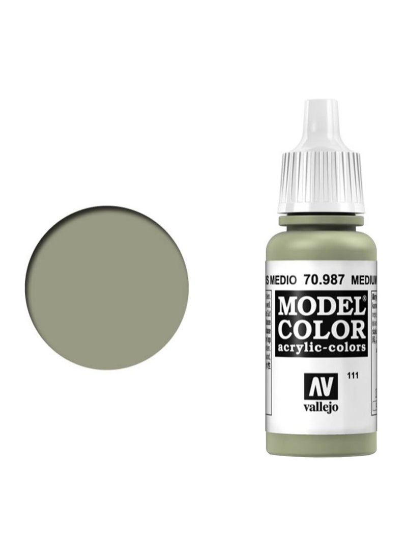 Model Color Acrylic Paint Medium Grey