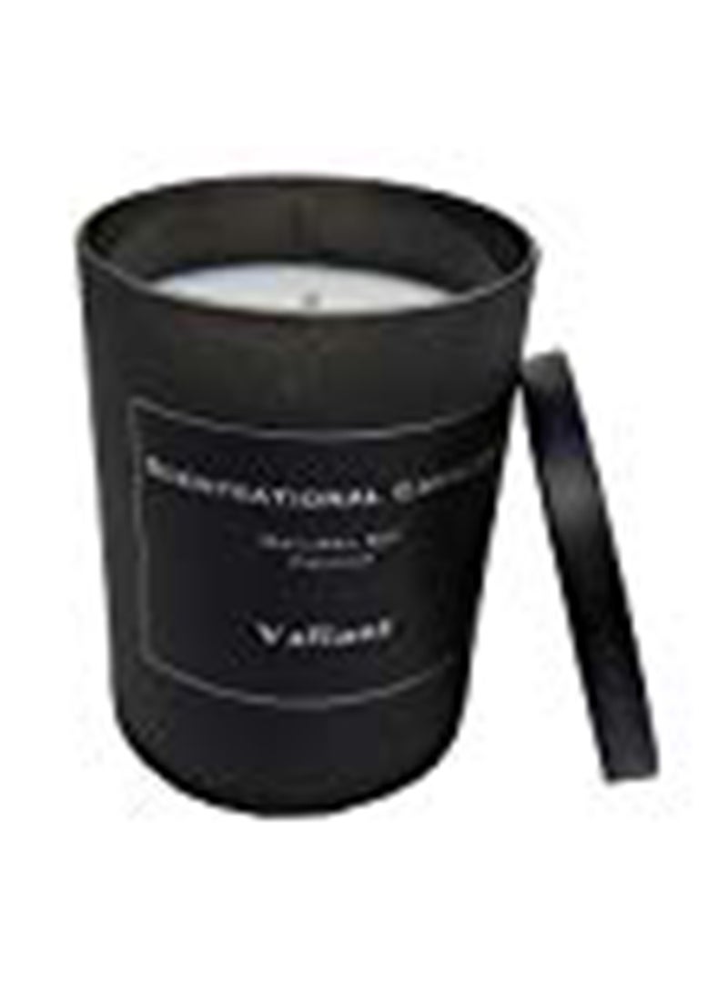 Premium Soy Candle - Valiant Black 4.2x3.2x3.2inch - v1549867588/N20839116A_2