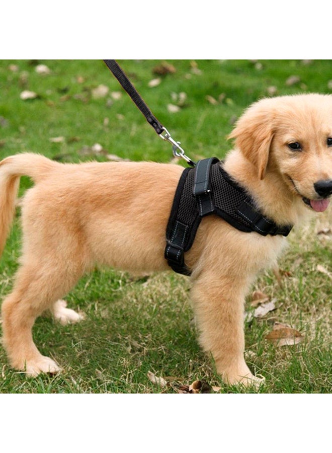 حزام صدر للكلاب جيد التهوية أسود - Image 2