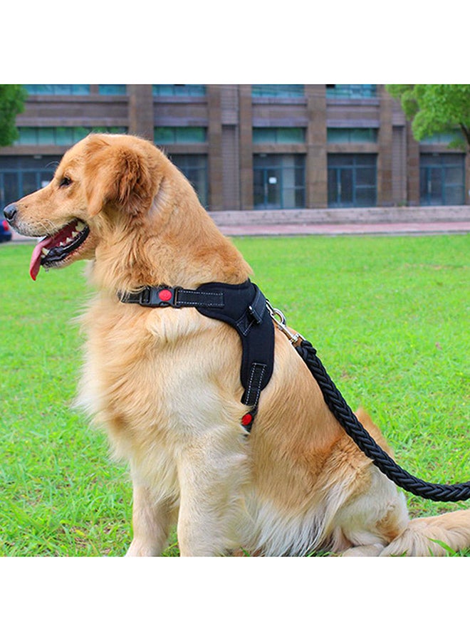 حزام صدر للكلاب جيد التهوية أسود - Image 3