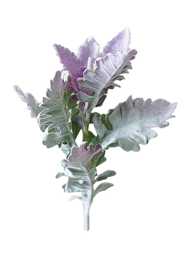 Bluelans - Artificial Senecio Cineraria Plant Purple/Green - Image 1