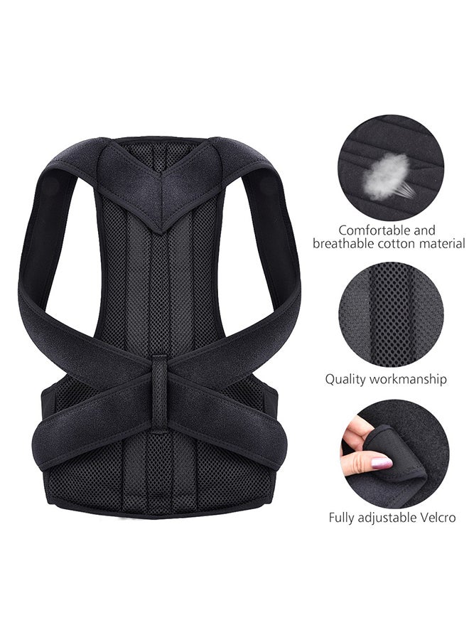 Generic - Back Support Brace Belt - Image 1