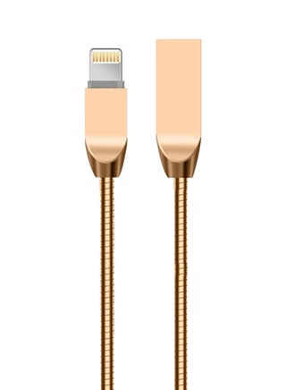 Lightning Cable For Apple iPhone Gold - v1550490551/N21122018A_1
