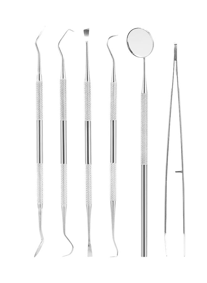6-Piece Dental Instrument Set Silver 108grams - Image 1