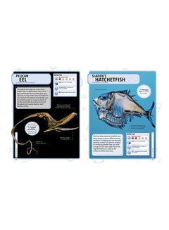 Sharks And Other Deadly Ocean Creatures hardcover english - 30 May 2016  - Image 4