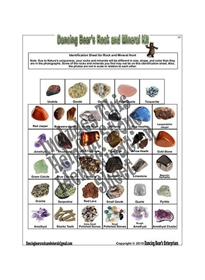 Dancing Bear Rock And Mineral Activity Kit RMKBYOG - Image 3