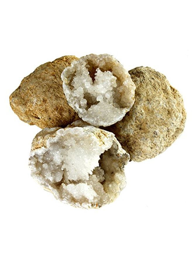 Dancing Bear Rock And Mineral Activity Kit RMKBYOG - Image 4