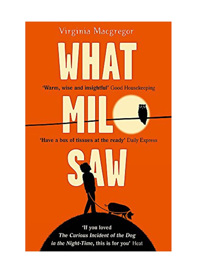 What Milo Saw: He Sees The World In A Very Special Way Paperback English by Virginia Macgregor - October 13, 2015 