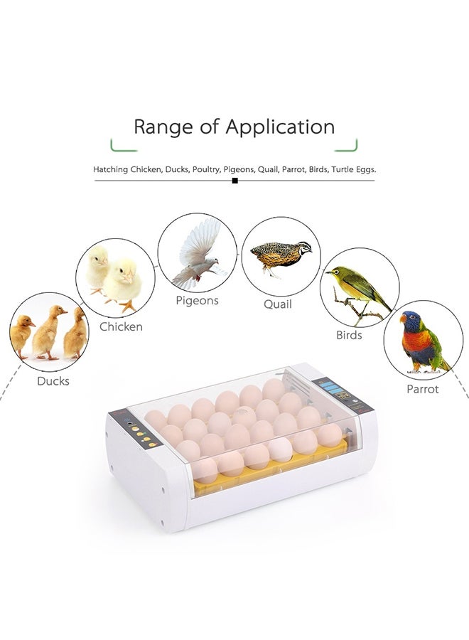 Automatic Egg Incubator Yellow/White/Clear 39x24.5x12cm - Image 2