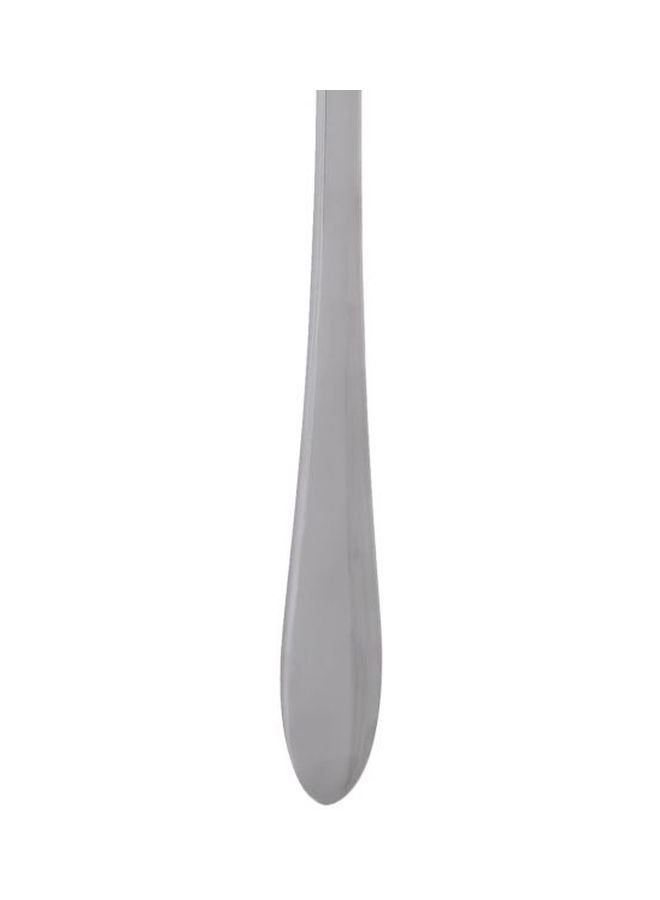 Berger Stainless Steel Serving Spoon 10-Inch Silver 10inch - Image 3