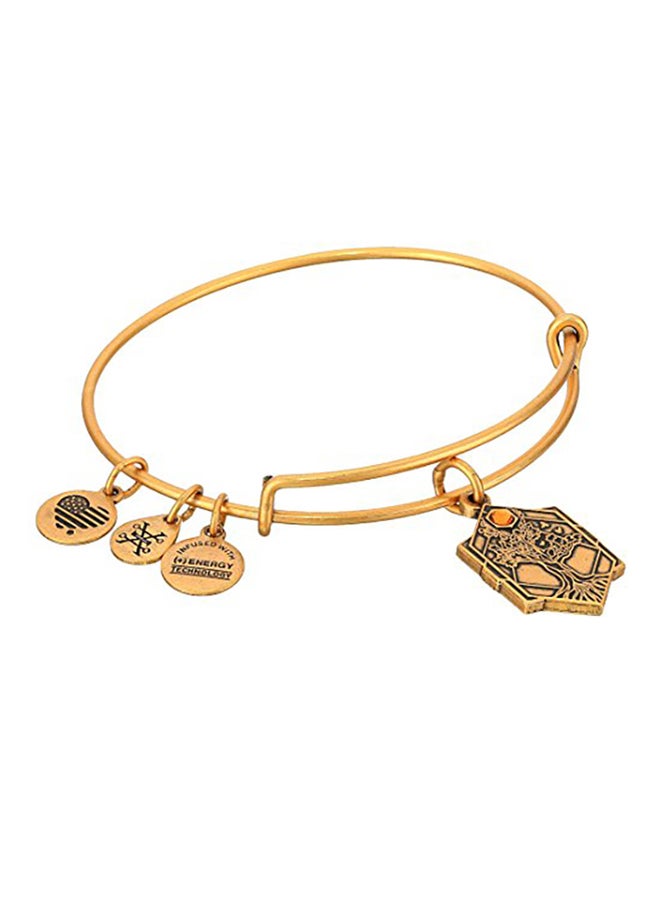 ALEX AND ANI Rafaelian Gold Plated Tree Of Life Iv Charm Bracelet  - Image 1