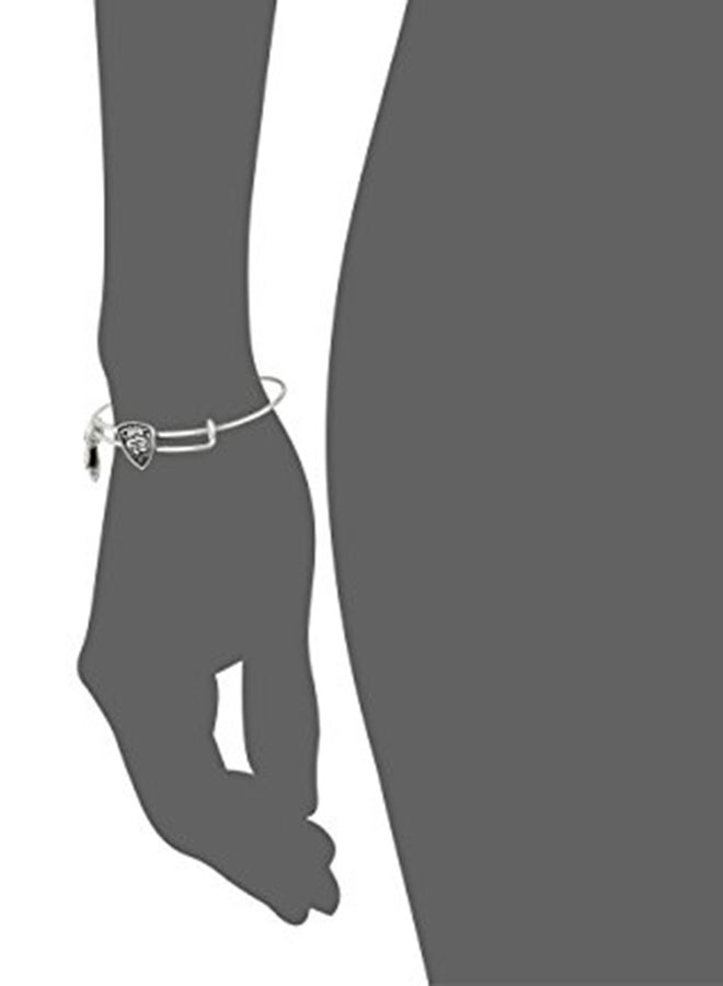 أليكس آند آني - Rafaelian Charm Bracelet - Image 1