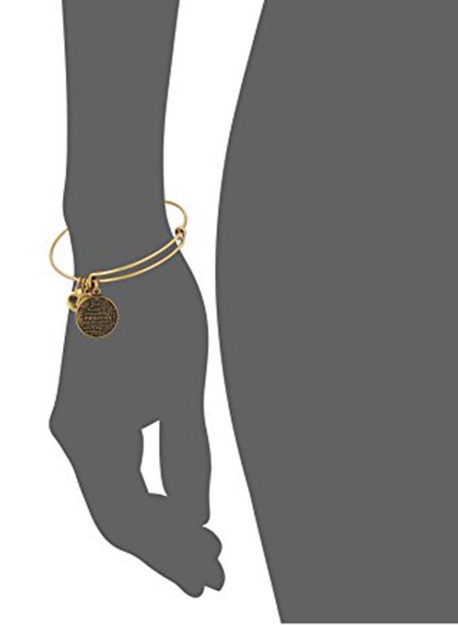 ALEX AND ANI Rafaelian Gold Charm Bracelet  - Image 2