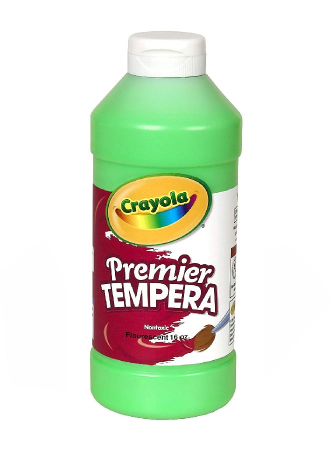 Crayola Fluorescent Paint Green