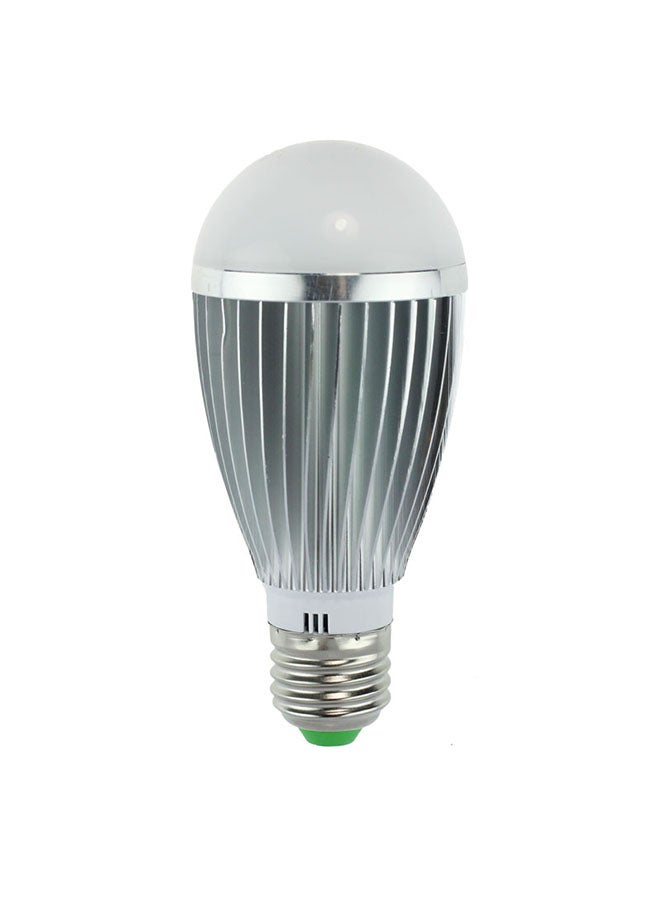 Voberry - Motion Sensor LED Bulb Silver - Image 1