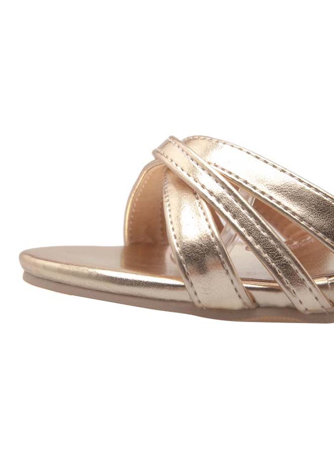 SIKAINI - Leather Buckle Closure Sandals Gold - Image 1