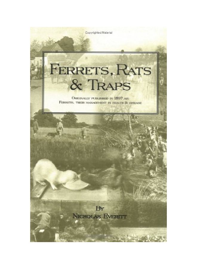 Ferrets, Rats And Traps paperback english - 28 Jan 2005  - Image 1