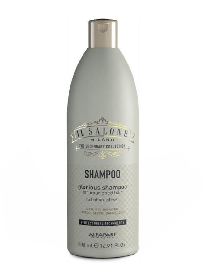 Protein Shampoo Dry Damaged Hair 500ml - v1551247247/N21120303A_1