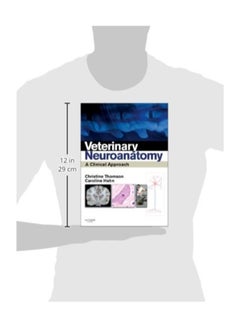 Veterinary Neuroanatomy: A Clinical Approach paperback english  - Image 3