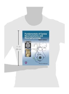 Fundamentals Of Canine Neuroanatomy And Neurophysiology paperback english  - Image 2