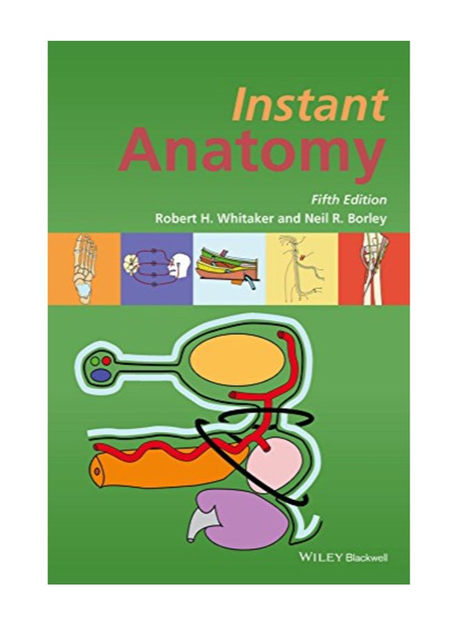 Instant Anatomy paperback english 