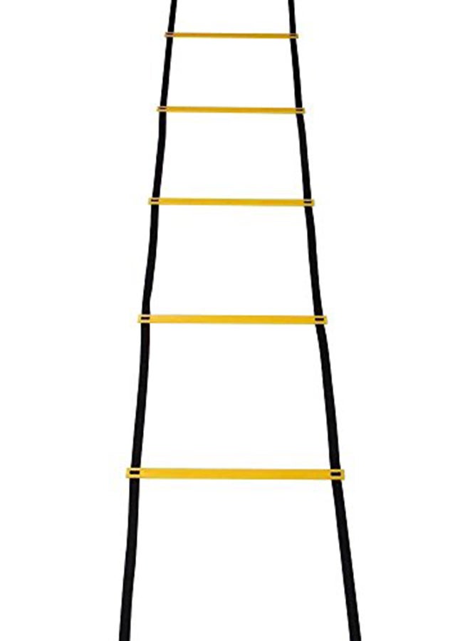 12 Rung Agility Ladder Speed Ladder Training Ladder For Soccer 2.99999999694X16.99999998266X3.99999999592inch - v1551357089/N21460140A_2