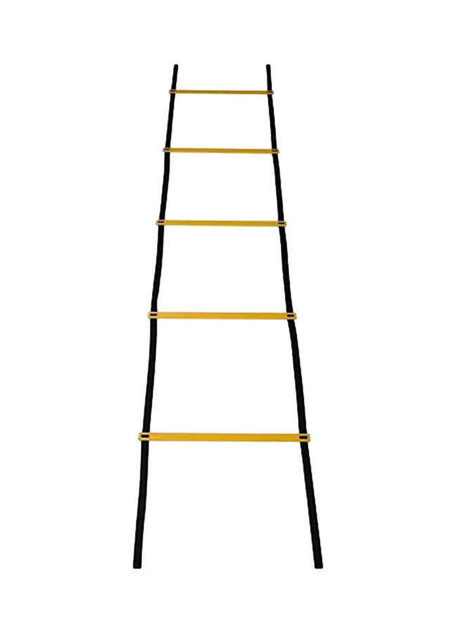 CELEMOON Upgraded Material 20-Rungs Agility Speed Training Ladder 0.31X17.4X5.71inch - Image 1