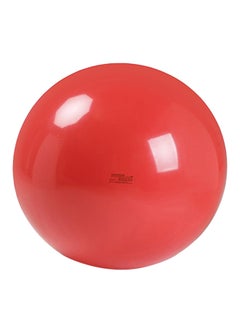 Physio Exercise Ball 12.7X9.25X4.75inch