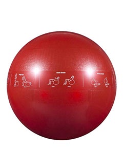 Professional Grade Stability Ball 7X12X7inch