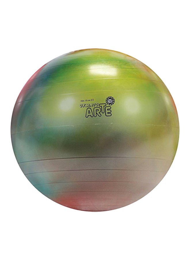 Gymnic Arte Plus Burst-Resistant Exercise Ball 12.7X9.25X4.75inch  - Image 1