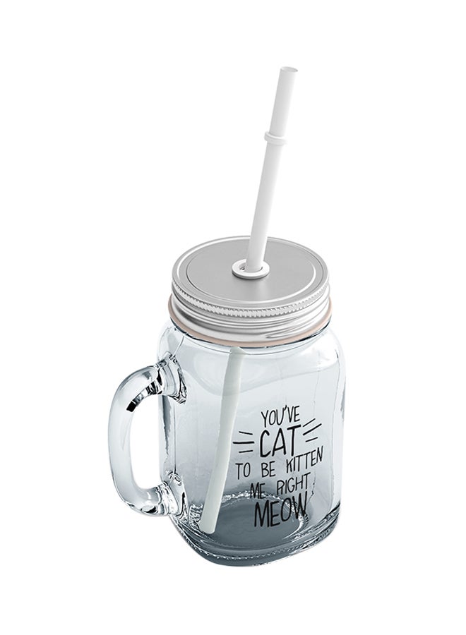 LOUD UNIVERSE - Glass Cat Kitten Meow Funny Kitty Quote Mason Jar With Straw Clear - Image 1