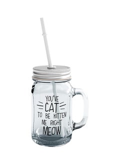 Glass Cat Kitten Meow Funny Kitty Quote Mason Jar With Straw Clear